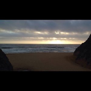 Meet your Posher, Elena